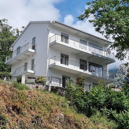 Apartments Parapid Κότορ Εξωτερικό φωτογραφία