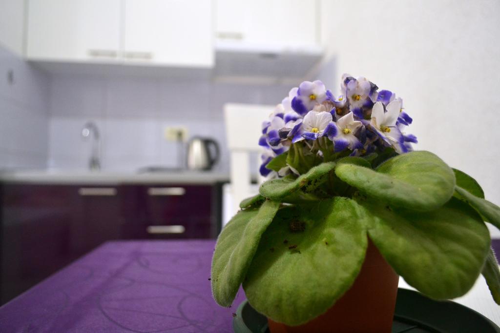 Apartments Parapid Κότορ Εξωτερικό φωτογραφία